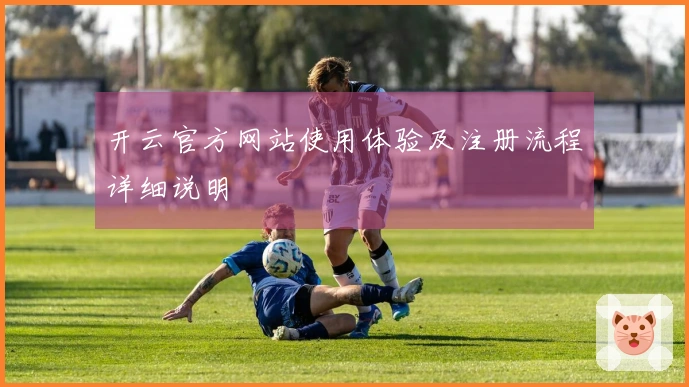 开云官方网站使用体验及注册流程详细说明