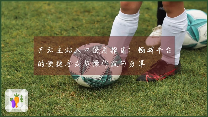 开云主站入口使用指南：畅游平台的便捷方式与操作技巧分享